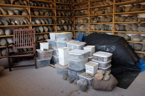 Some of the stone hammers and prehistoric artefacts excavated from the Great Orme Bronze Age Copper 