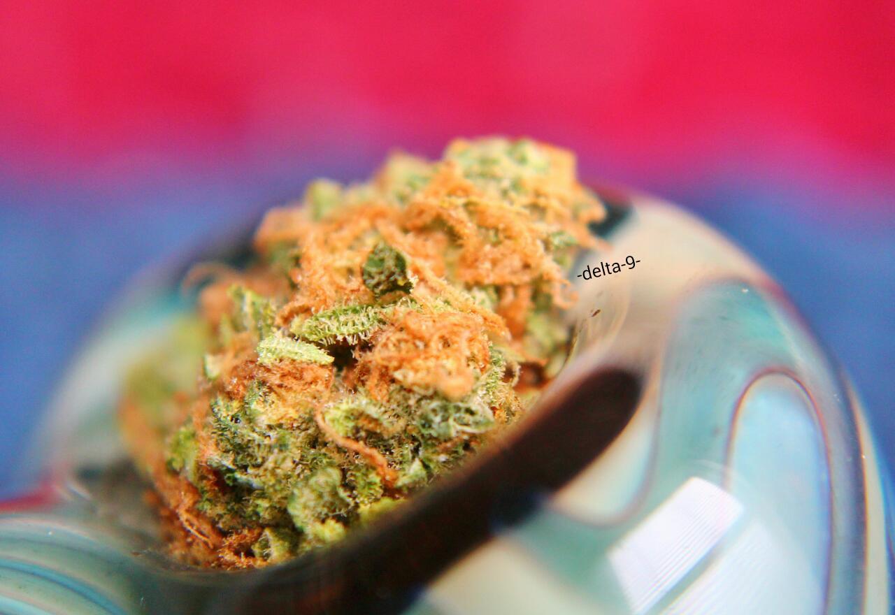 -delta-9-:  Hairy Bowls.
