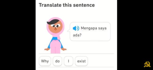 Bros As Random Duolingo Sentences