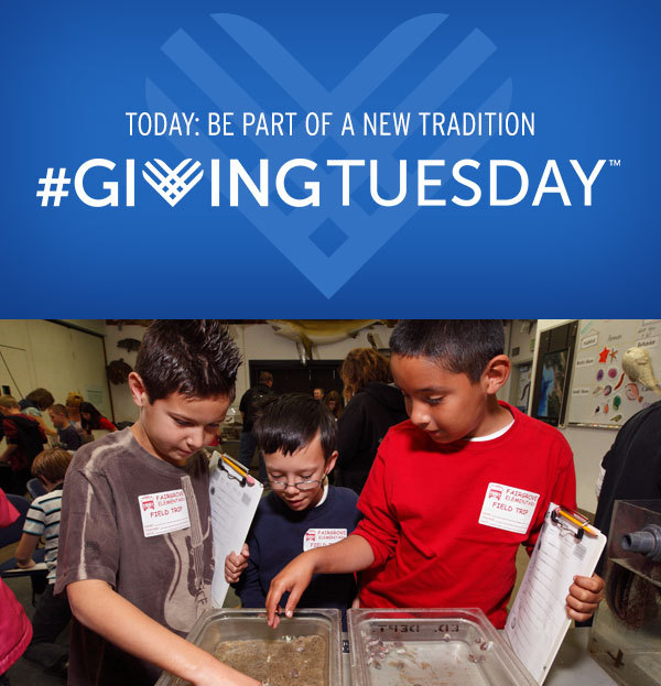 Black Friday? Forget that! Why not celebrate #GivingTuesday? Be part of a new tradition and help us foster a new generation of leaders to protect our oceans!
Support our new Ocean Education and Leadership Center