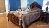 vacation-rental-by-own-her:Occupy yourselves……