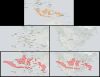 The real size of Indonesia. Top: Indonesia, Europe and USA as shown on a map. Bottom: Indonesia compared with Europe and USA directly in size.
More size comparison maps »