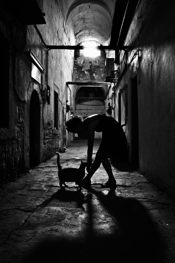  By Caner Cömertel 