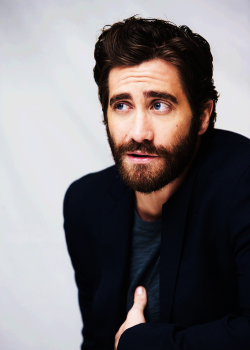 pokec0re:  Jake Gyllenhaal