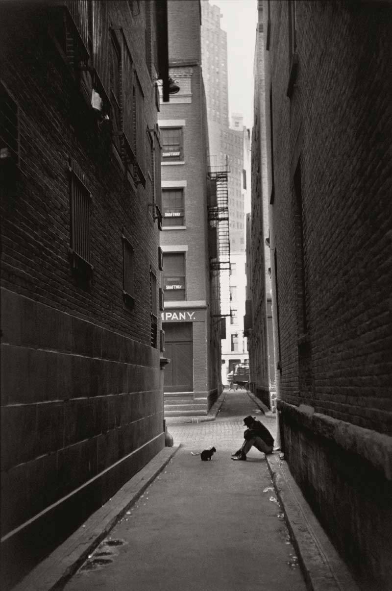 aquaticwonder:  An alley for two 