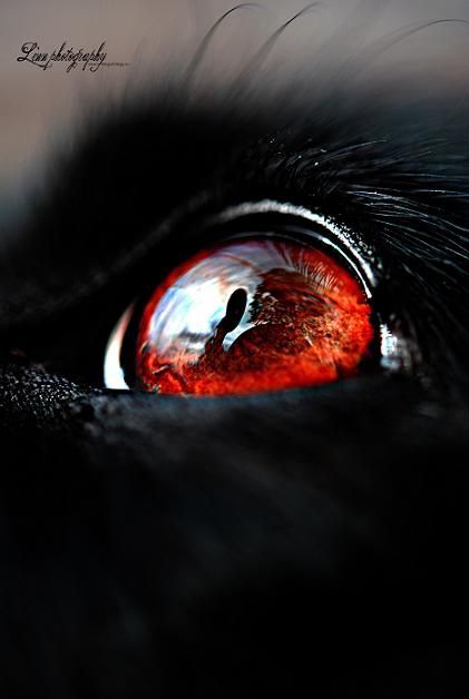 Il colore e' poesia dell'anima