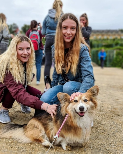 Corgi rocks up at the castle, and the crowd goes wild #Sansoussi #Girrrls (at Sansoussi Potsdam)ht