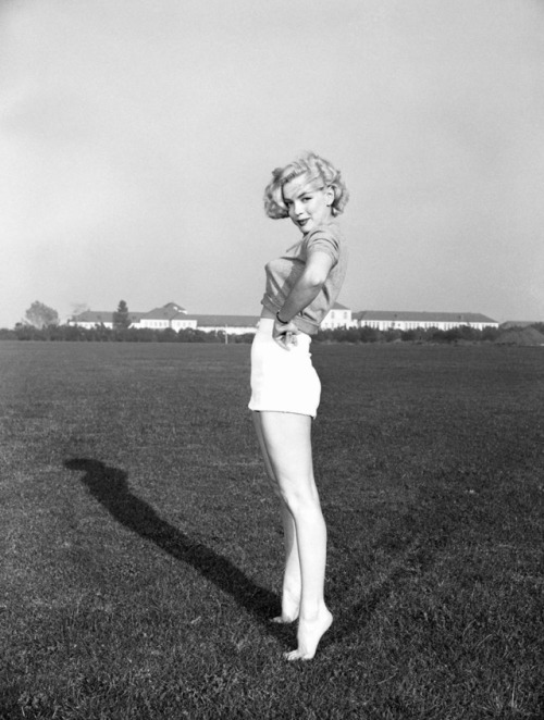 talesfromweirdland:Marilyn Monroe photographed by David Cicero in 1951.