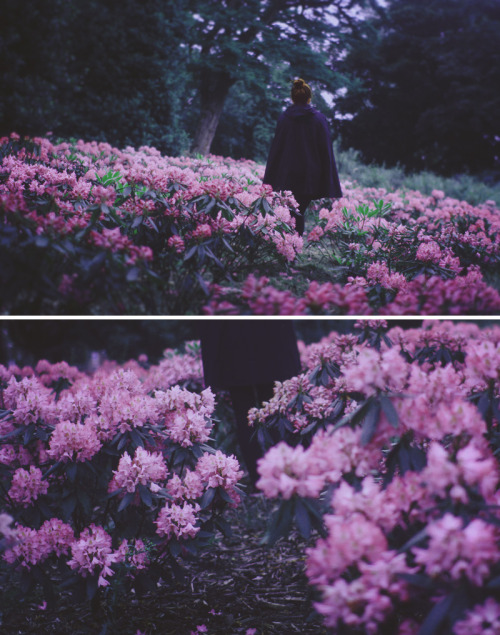 gedonelune-romance:jacindaelena: Angélica Vis@wizardessheartaesthetics makes me think of mc somehow