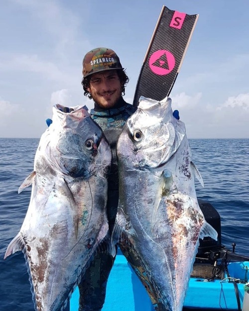 Reposted from @jgilhum Few kilos of AP to the freezer @alchemyspearfishing @hexskin (check out the l