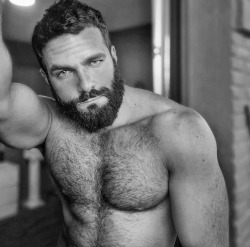 bent4beards:  cbuscub:    The best beards