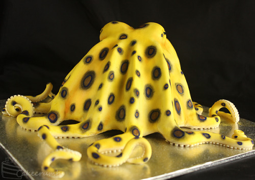 ftcreature:nemertea:cake-crumbs:Blue-ringed Octopus CakeOkay, I need to have a birthday really soon 