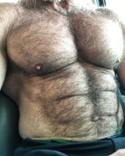 planesdrifter:  Follow planesdrifter: trueTHAT if you’re an admirer of older, hairy natural and muscular men. Check it out and the archive too or the live cams. 