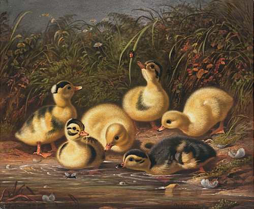 Group of Ducklings Tait Arthur Fitzwilliam L. Prang & Co, ca. 1861–1897Chromolithograph.