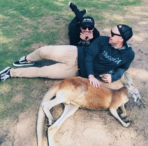 Pierce the Veil at Lone Pine Koala Sanctuary!