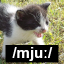 cat-transcriber