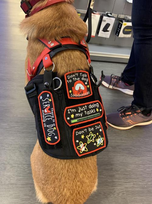 startplaysmile:“There’s a service dog among us”