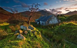 wildeyedsoutherncelt:  Pic. An abandoned cottage in the Mourne Mountains by Leslie Hanthorne http://www.mournemountainphotography.co.uk/ https://www.facebook.com/leslie.hanthorne 