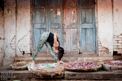 Deb Williams in Deveraja Market, Mysore, India.Find Deb in New Jersey at ashtangayogamontclair.