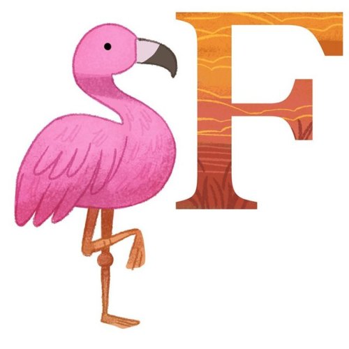 F is for flamingo, find the full alphabet at www.michiscribbles.etsy.com . . . #illustration #drawin