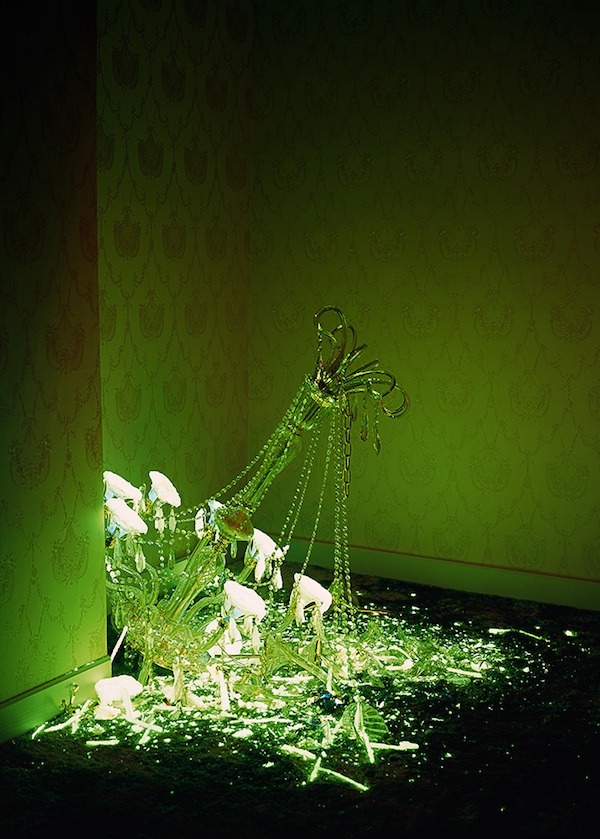 nevver:  Evidence