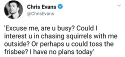 pollydoodles: I feel like Chris Evans has