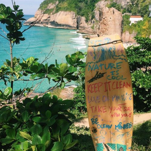 theadventurechild:Jungle/tropical blog