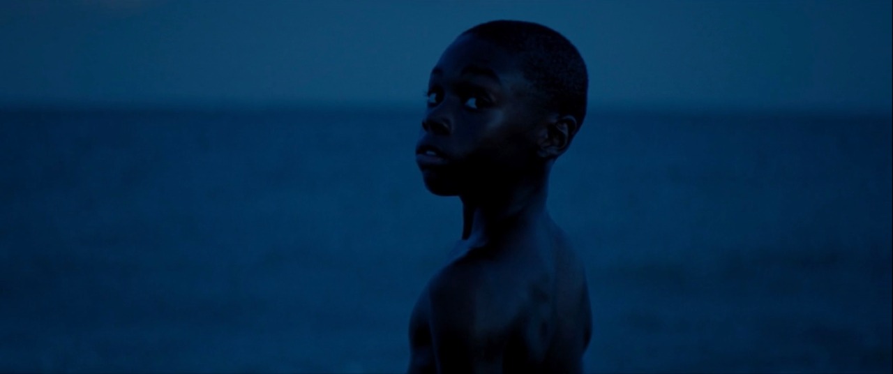 XXX jasminejarss:Moonlight (2016) dir. Barry photo