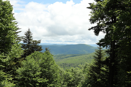 vandaliatraveler:On Saturday, I hiked several trails along the Highland Scenic Highway I missed duri