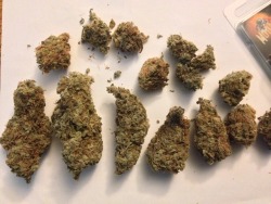 mysticalshamanjosh:  Big nugs of Green Crack