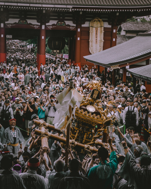  Matsuri mood ⛩Sanja Matsuri is one of the most popular festivals in Tokyo and held on the third wee