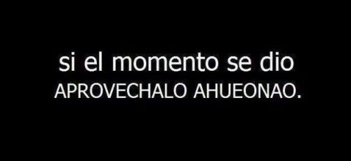 blog-aleortega:  onetimeoneloveonelifee:  skiikysmile:  mrgenophage:  Pero tenía que ser tan idiota :c  Aprovecha ctm jjj  No lo aproveche chuchetumare:’)  Puta que soy aweona :’) 