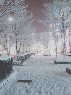 Jjjinbly:  Winter Street, Gwangju Korea.