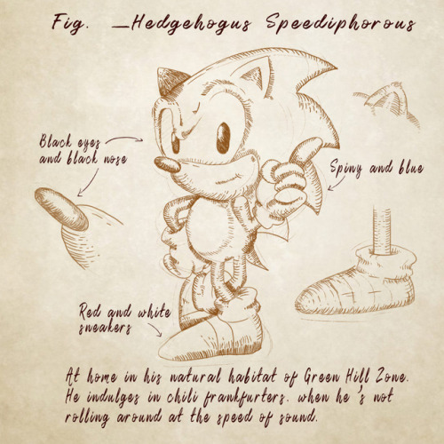 sonicthehedgehog - A missing page from “The Voyage of the...