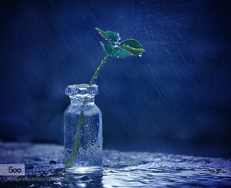 stephanocardona:  Lucky rainy day by lindahabiba Link: http://ift.tt/1LTPwLC 