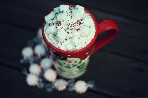 CHRISTMAS WONDERWORLD