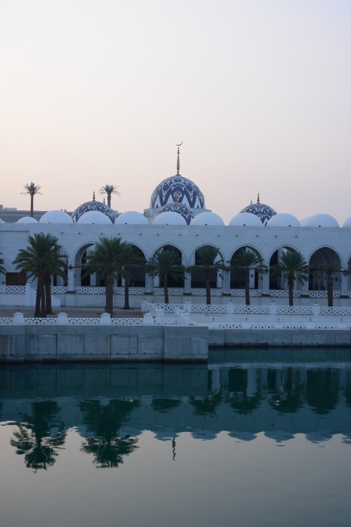 A hint of pink _ KAUST, Arabe Saoudite