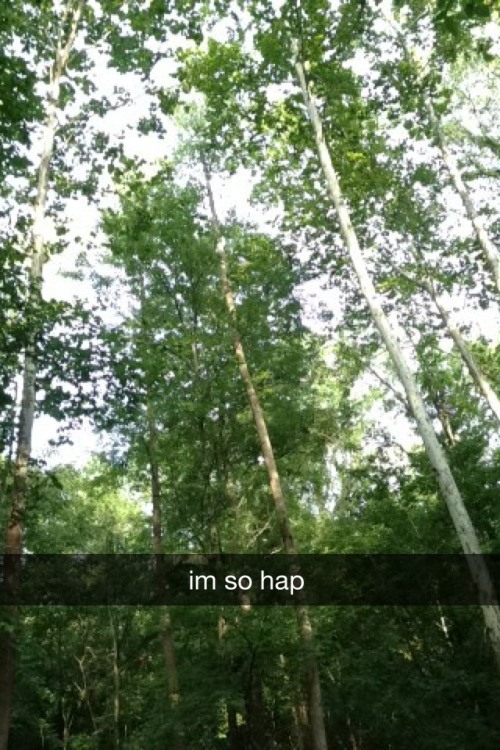 janksy: a series of snapchats that i sent to lauren on my walk in the nature park