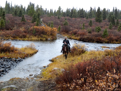 horseback riding