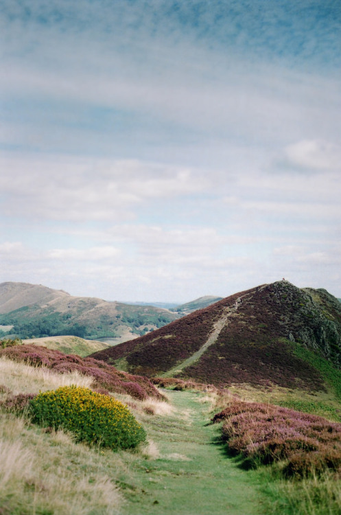 aphelia:Shropshire Hills (by Joe Pepper)