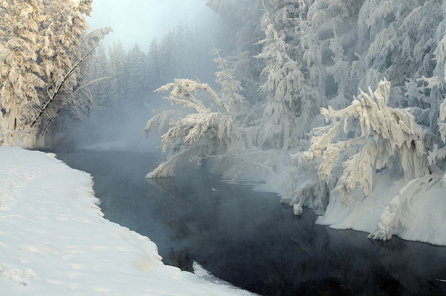 oix:  Non freezing brook in Tomtor by Hannes Rada on Flickr.      