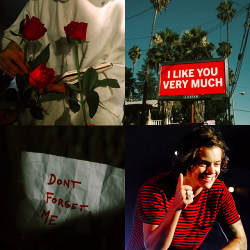 #harry styles#one direction#hes#hs#harry aesthetic#red aesthetic#blue aesthetic#pink aesthetic#white aesthetic#moodboard