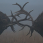 ohhhhdeer