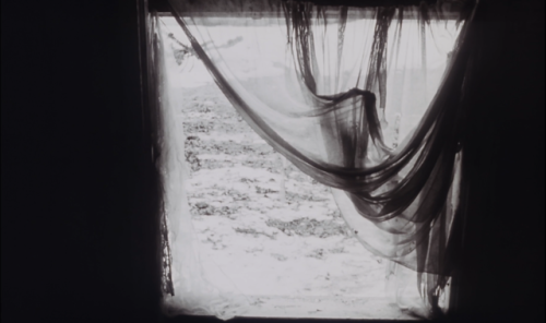 spiritandteeth:The Sacrifice (dir. Andrei Tarkovsky)                                                