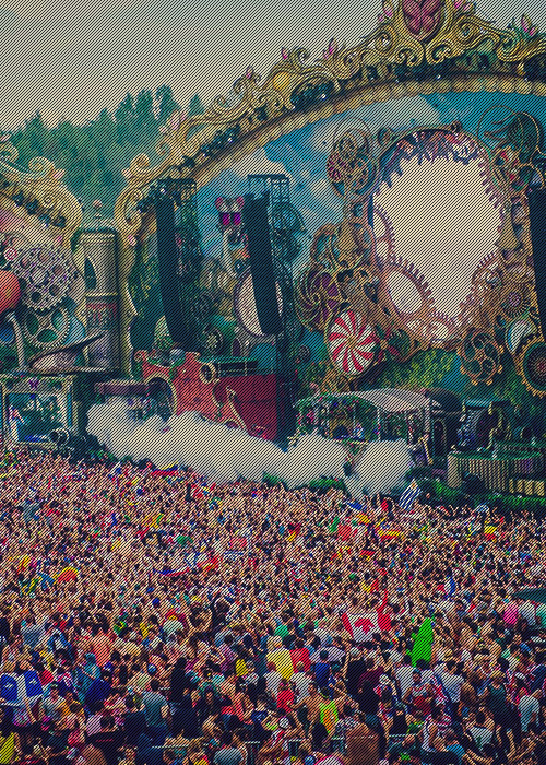 rave-republic:  Tomorrow Land 2014 | Studio Brussel