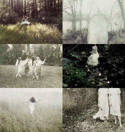 clairelizabethfraser:  F a i r i e s   //  {21st century}Fairies, also known euphemistically in literature as “wee folk”, “people of peace”, “good folk”, “fairy folk”, “fay” or “fae”, are described as magical gossamer forms