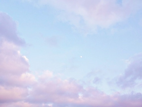 lavendervalar:the colours of the sunset make me so happyphotos by