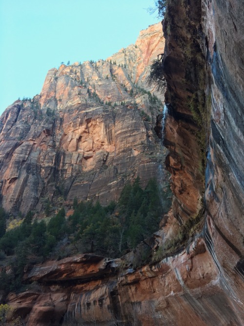 Zion National Park