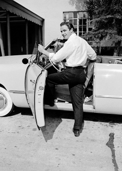 flmblr:  Marlon Brando, 1953 