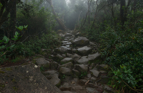 Mount Kinabalu trail by happy.apple on Flickr.